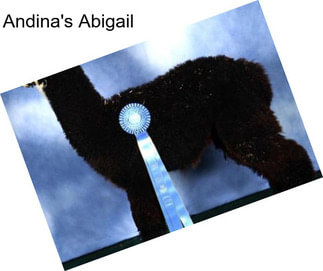 Andina\'s Abigail