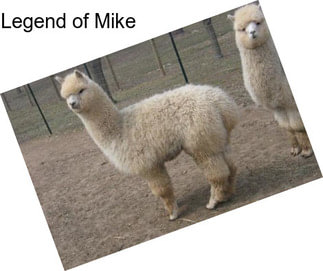 Legend of Mike