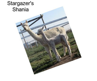 Stargazer\'s Shania