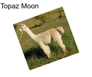 Topaz Moon