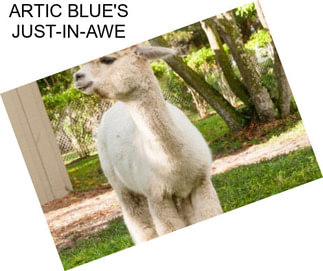ARTIC BLUE\'S JUST-IN-AWE