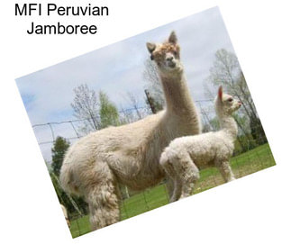 MFI Peruvian Jamboree