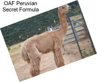OAF Peruvian Secret Formula