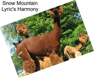 Snow Mountain Lyric\'s Harmony