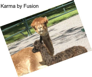 Karma by Fusion