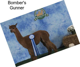 Bomber\'s Gunner