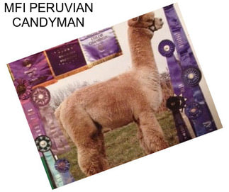 MFI PERUVIAN CANDYMAN