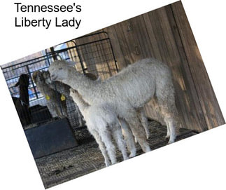 Tennessee\'s Liberty Lady