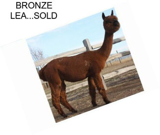 BRONZE LEA...SOLD