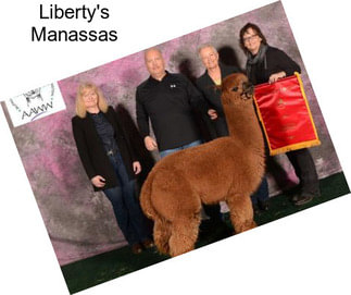 Liberty\'s Manassas