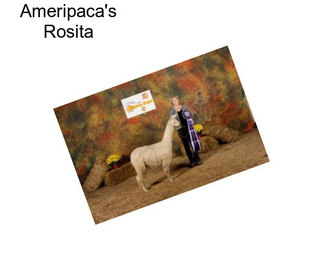 Ameripaca\'s Rosita