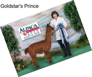 Goldstar\'s Prince