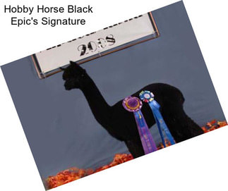 Hobby Horse Black Epic\'s Signature
