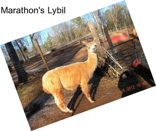 Marathon\'s Lybil