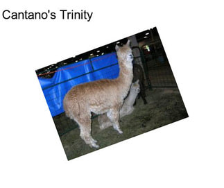 Cantano\'s Trinity