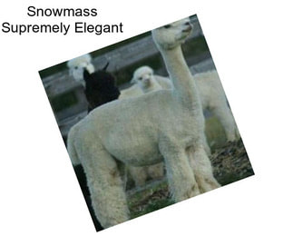 Snowmass Supremely Elegant
