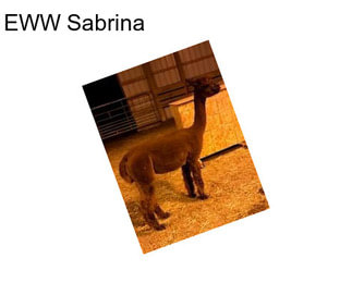 EWW Sabrina