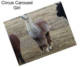 Circus Carousel Girl