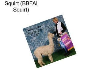 Squirt (BBFAI Squirt)