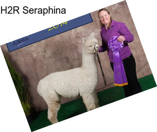 H2R Seraphina