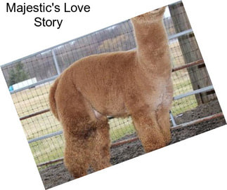 Majestic\'s Love Story