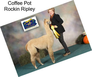 Coffee Pot Rockin Ripley