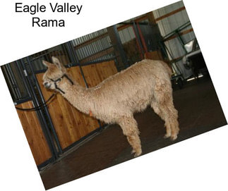 Eagle Valley Rama