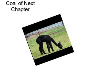 Coal of Next Chapter