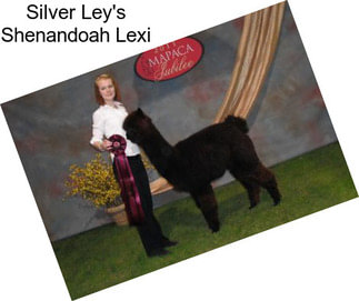 Silver Ley\'s Shenandoah Lexi