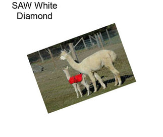 SAW White Diamond