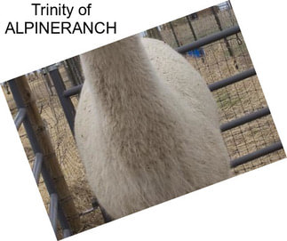 Trinity of ALPINERANCH