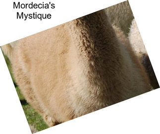 Mordecia\'s Mystique