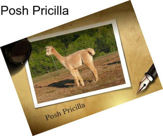 Posh Pricilla