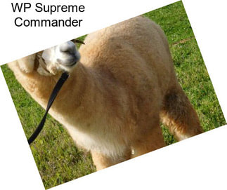 WP Supreme Commander