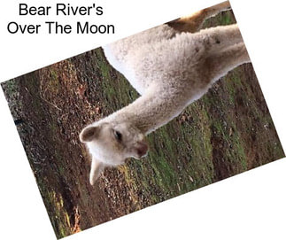 Bear River\'s Over The Moon