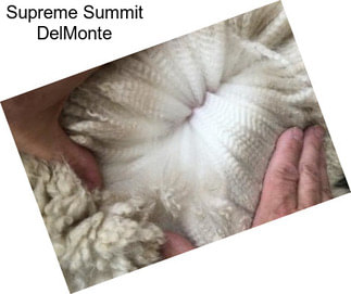 Supreme Summit DelMonte