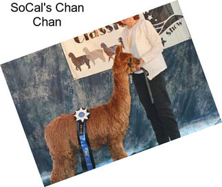 SoCal\'s Chan Chan