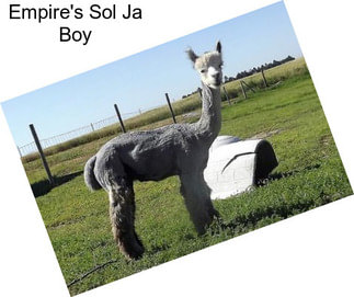 Empire\'s Sol Ja Boy
