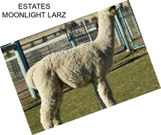 ESTATES MOONLIGHT LARZ