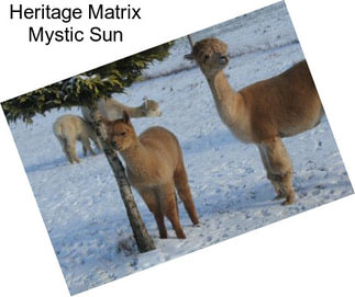 Heritage Matrix Mystic Sun