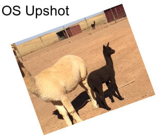 OS Upshot