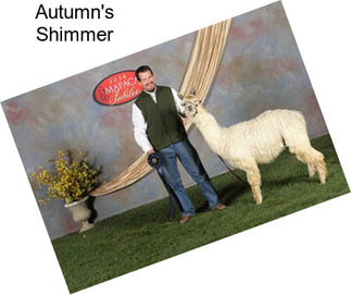 Autumn\'s Shimmer