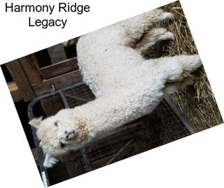 Harmony Ridge Legacy