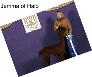 Jemma of Halo