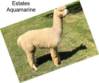 Estates Aquamarine