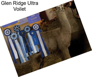 Glen Ridge Ultra Voilet