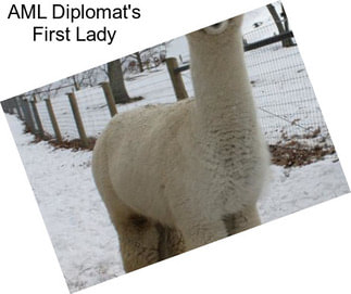 AML Diplomat\'s First Lady