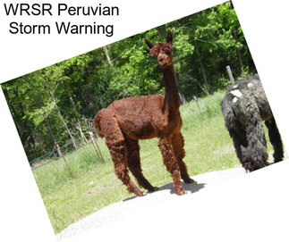 WRSR Peruvian Storm Warning