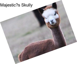 Majestic?s Skully