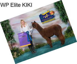 WP Elite KIKI